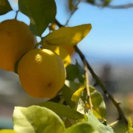 Villa Lasueca Nerja *