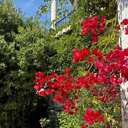 Lasueca Nerja ヴィラ トロクス・コスタ